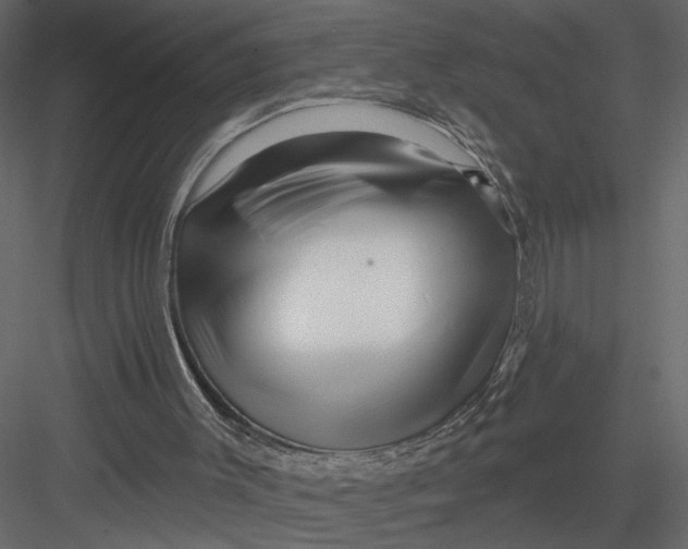 X0000082960003200702222352