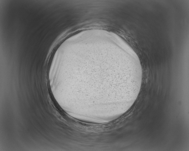 X0000082960004200702222352