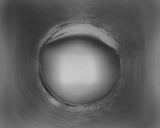 X0000082960005200702222352