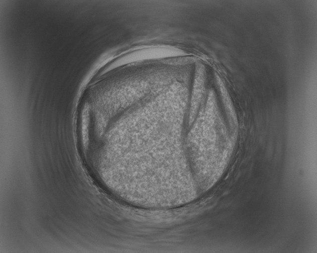 X0000082960006200702222352