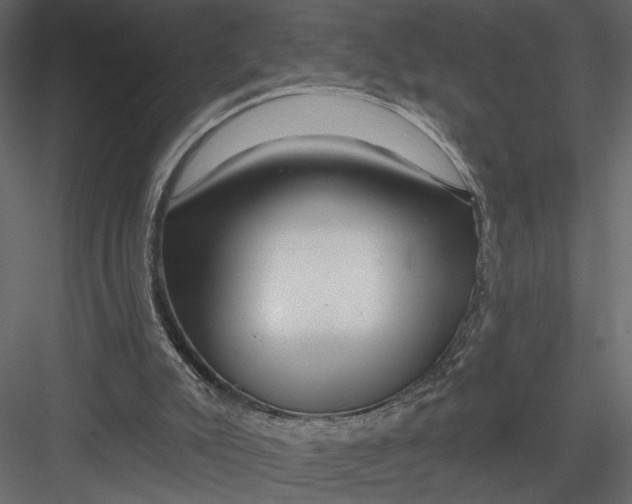 X0000082960007200702222352