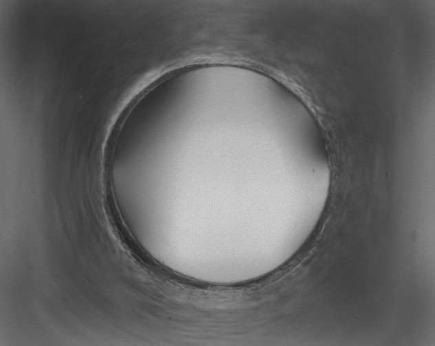 X0000082960008200702222352