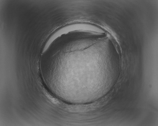 X0000082960009200702222352