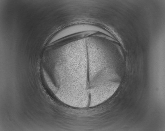 X0000082960010200702222352