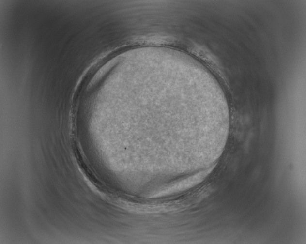 X0000082960012200702222352