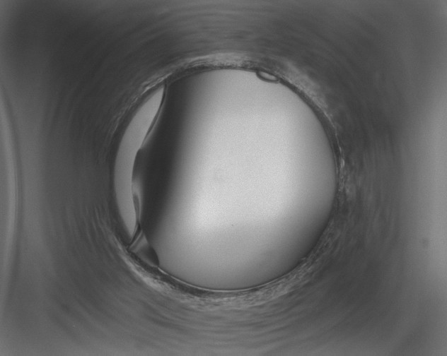 X0000082960013200702222352