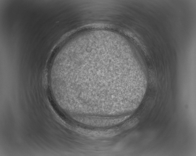 X0000082960016200702222352