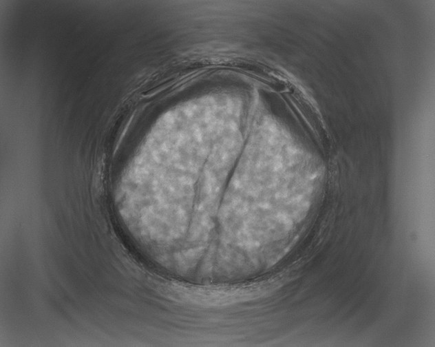 X0000082960018200702222352