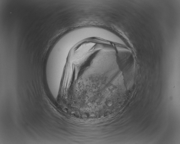 X0000082960019200702222352