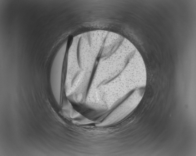 X0000082960020200702222352