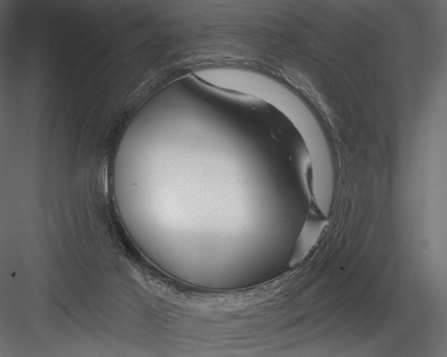 X0000082960021200702222352