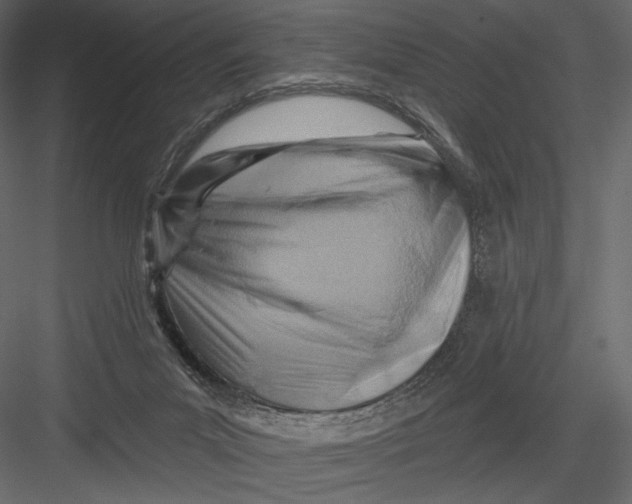 X0000082960023200702222352