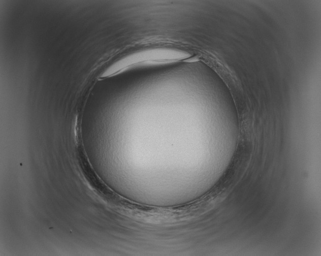 X0000082960024200702222352