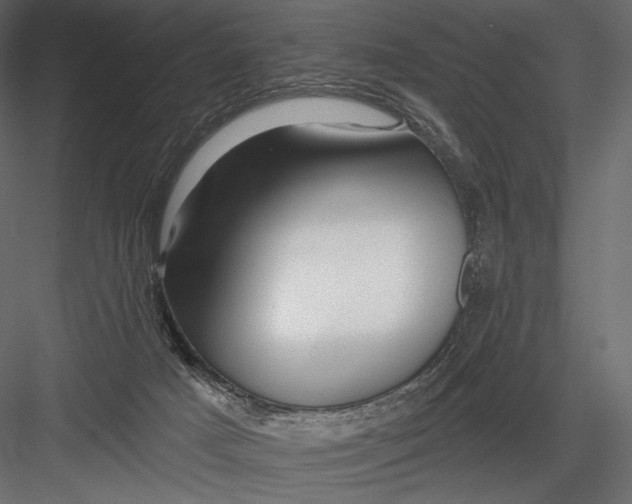 X0000082960025200702222352