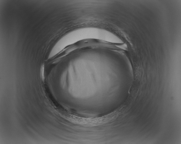 X0000082960027200702222352