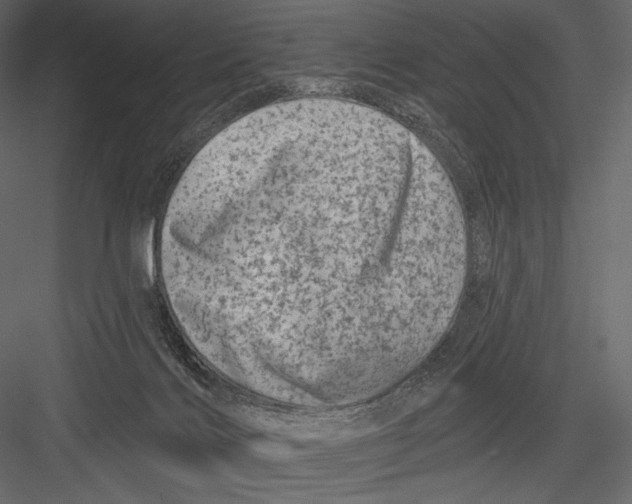 X0000082960028200702222352