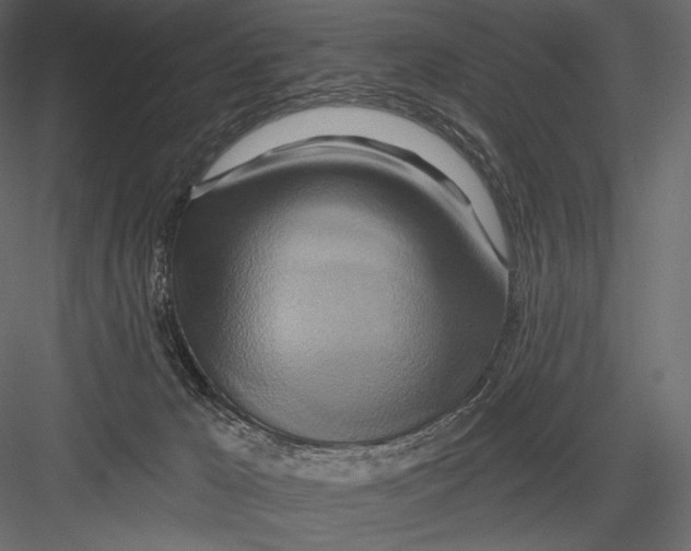 X0000082960029200702222352