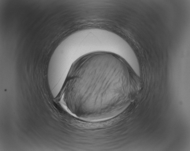 X0000082960031200702222352