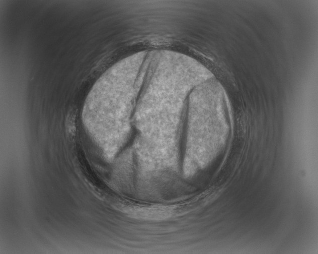 X0000082960032200702222352