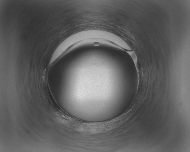 X0000082960033200702222352