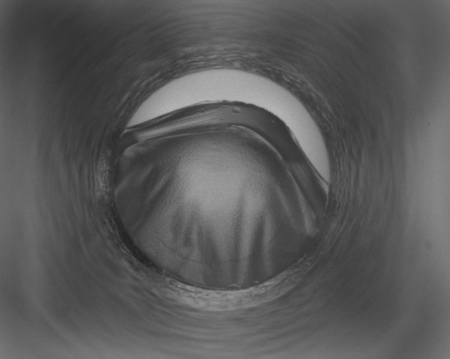 X0000082960035200702222352