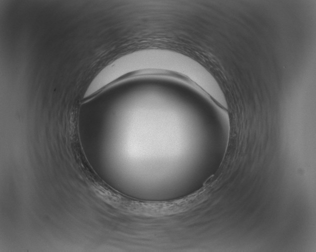 X0000082960037200702222352