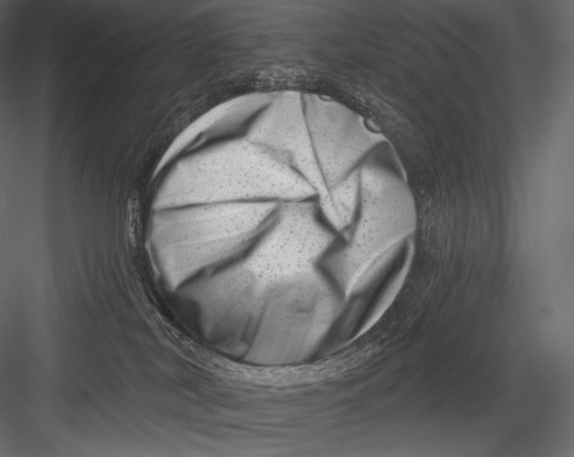 X0000082960038200702222351