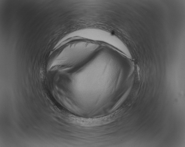 X0000082960039200702222351