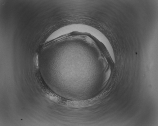 X0000082960041200702222351