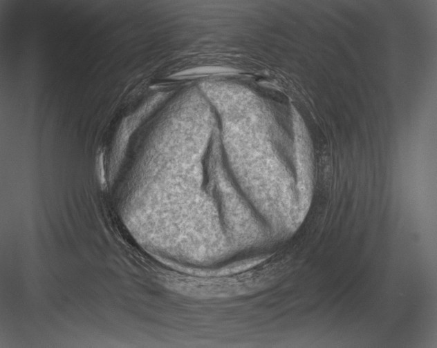 X0000082960042200702222351