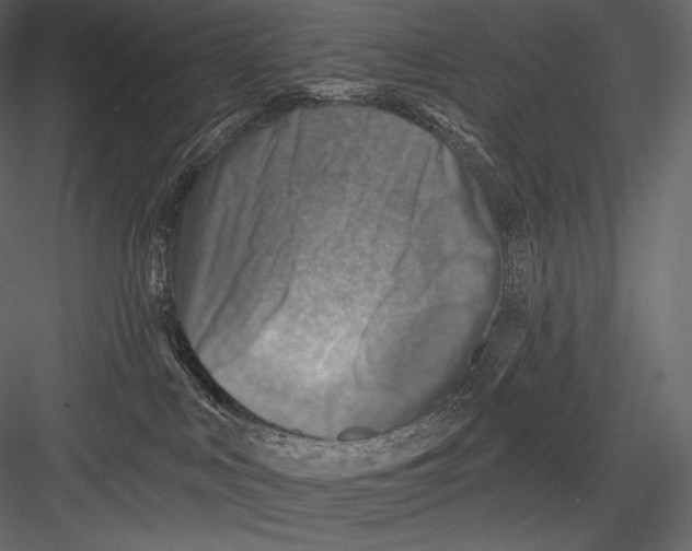 X0000082960043200702222351