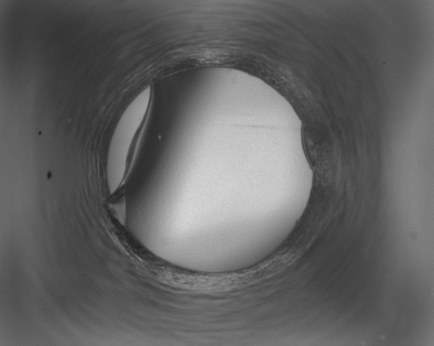 X0000082960044200702222351