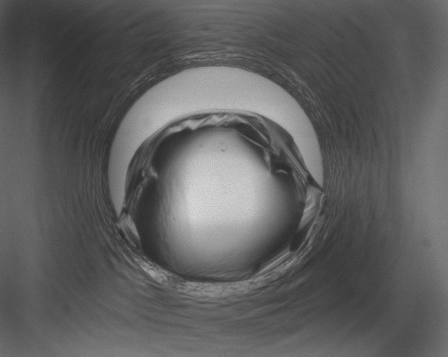 X0000082960045200702222351