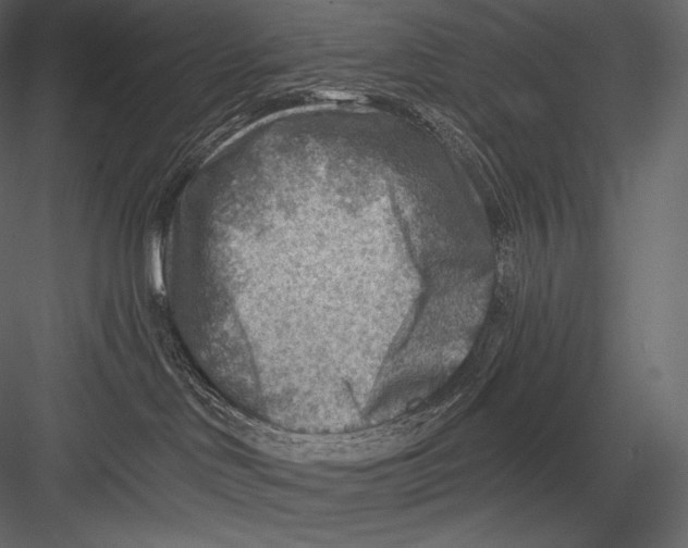 X0000082960046200702222351