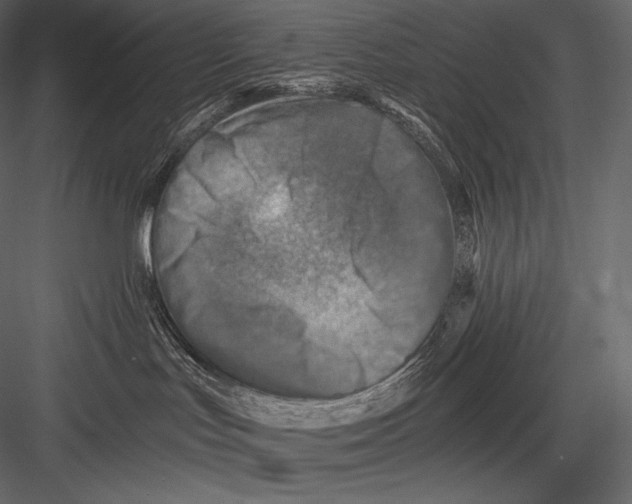 X0000082960047200702222351