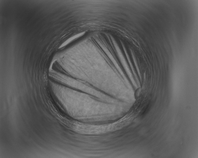 X0000082960048200702222351