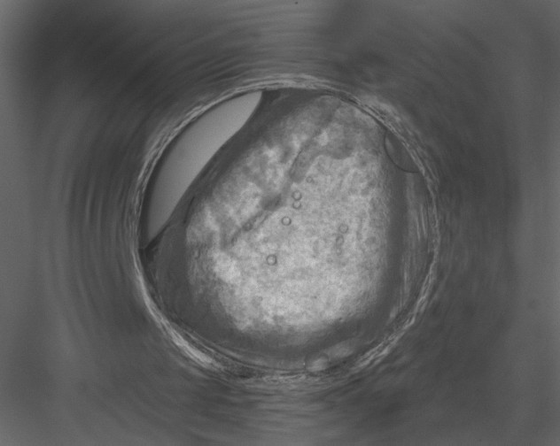 X0000082960049200702222350