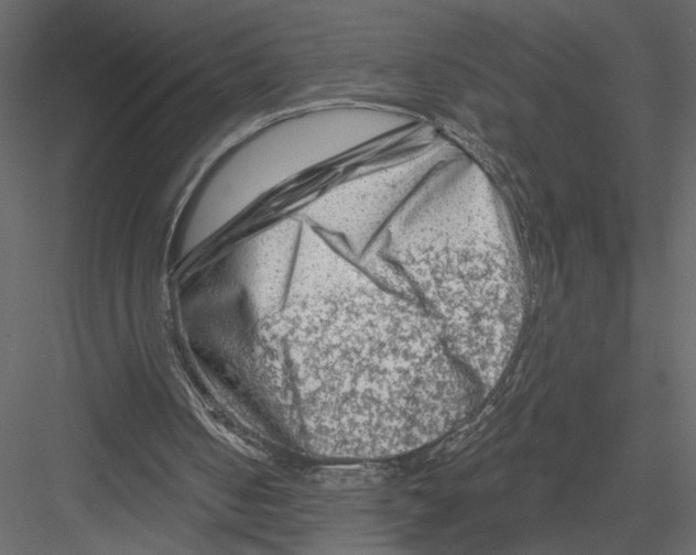 X0000082960050200702222351