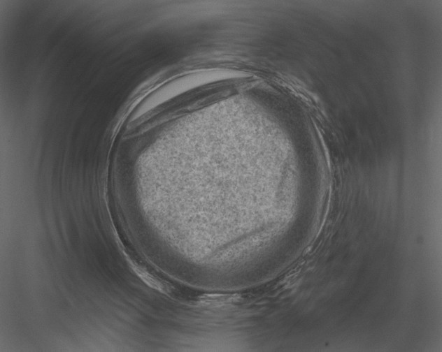 X0000082960051200702222351