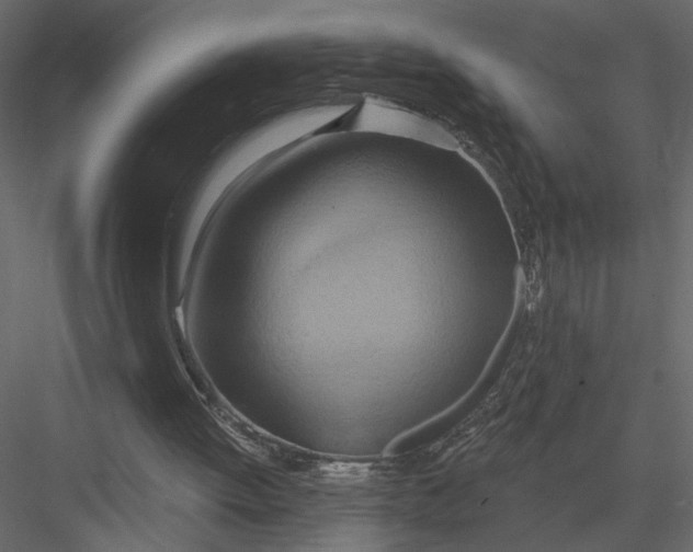 X0000082960052200702222351