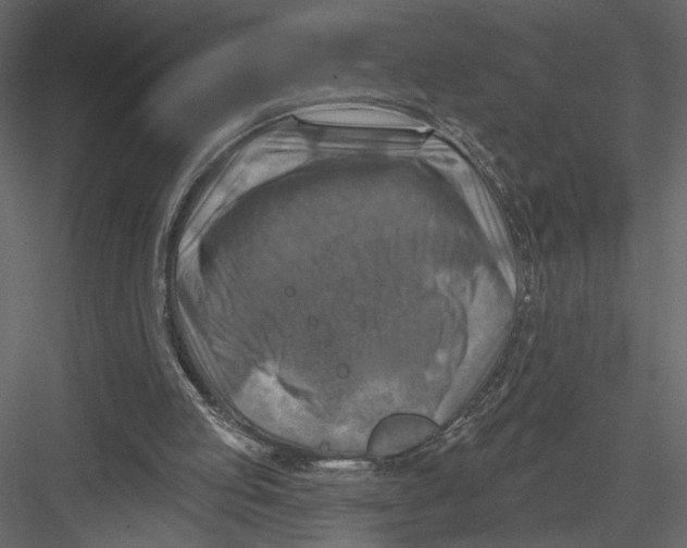 X0000082960053200702222351