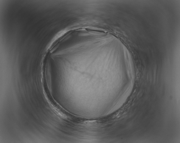 X0000082960054200702222351