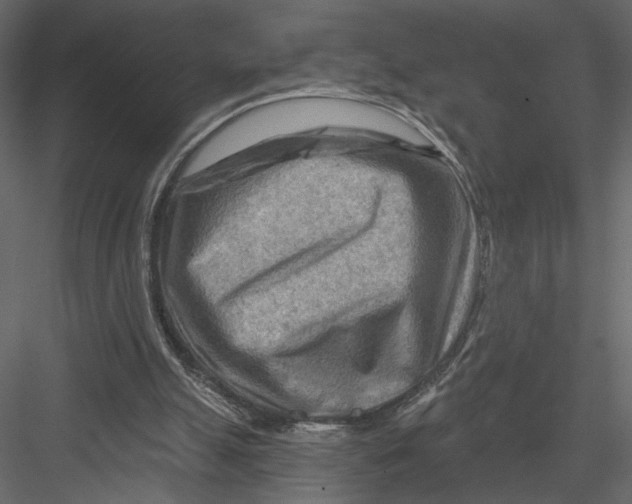 X0000082960055200702222351