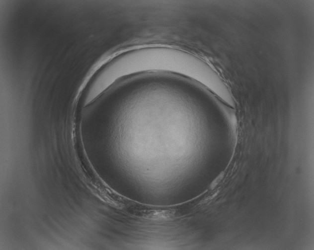 X0000082960056200702222351