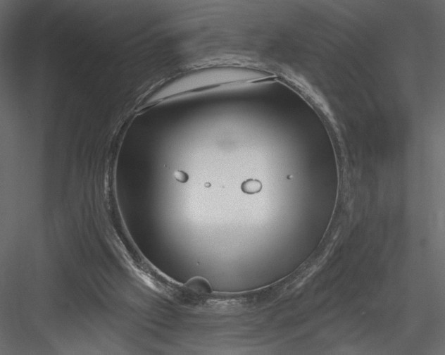 X0000082960057200702222351