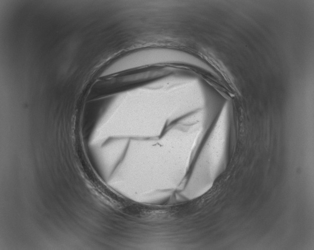 X0000082960058200702222351