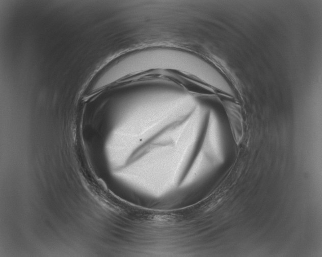 X0000082960060200702222351