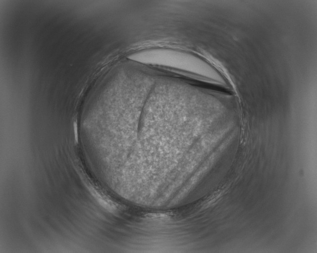 X0000082960061200702222351