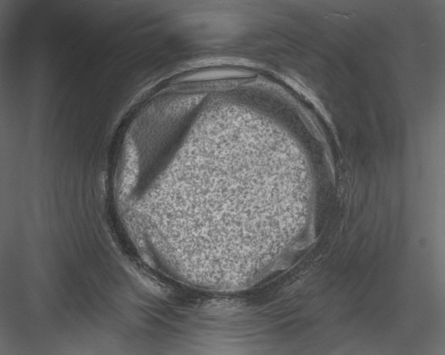 X0000082960063200702222351