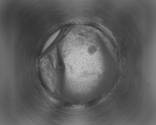 X0000082960065200702222351